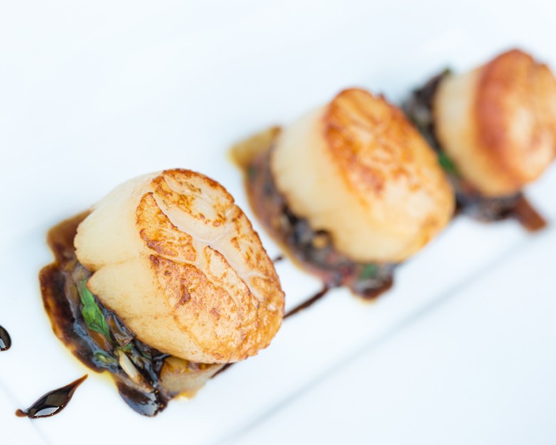 scallop_800x640